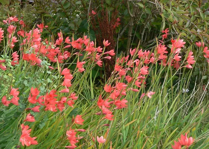 Mullach Сasa de vacaciones